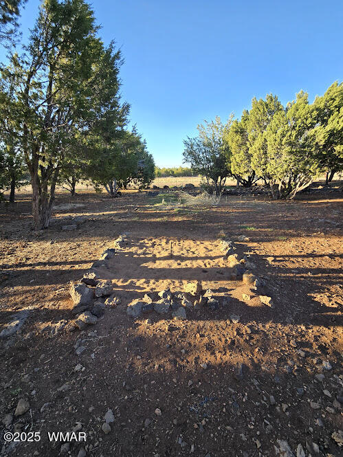 16 ACR 3116 Show Low, AZ 85901 - Photo 44 of 73 20250521_182508