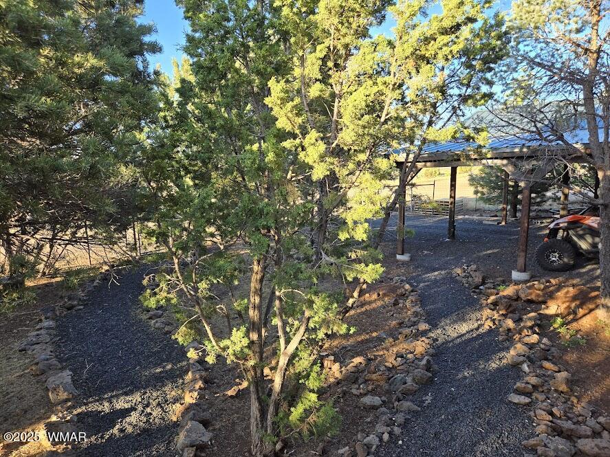16 ACR 3116 Show Low, AZ 85901 - Photo 64 of 73 20250521_182304
