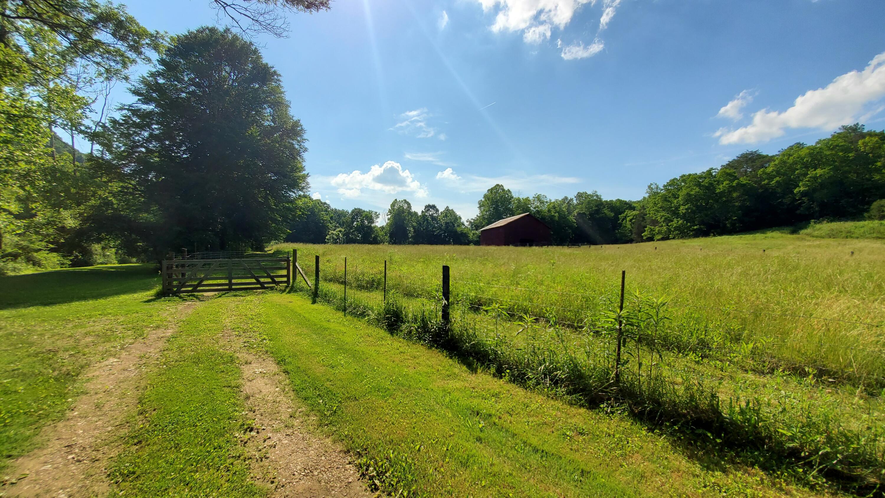2875 Pointer Creek Road Science Hill, KY 42553 - Photo 48 of 81 Roads to paddocks/barn