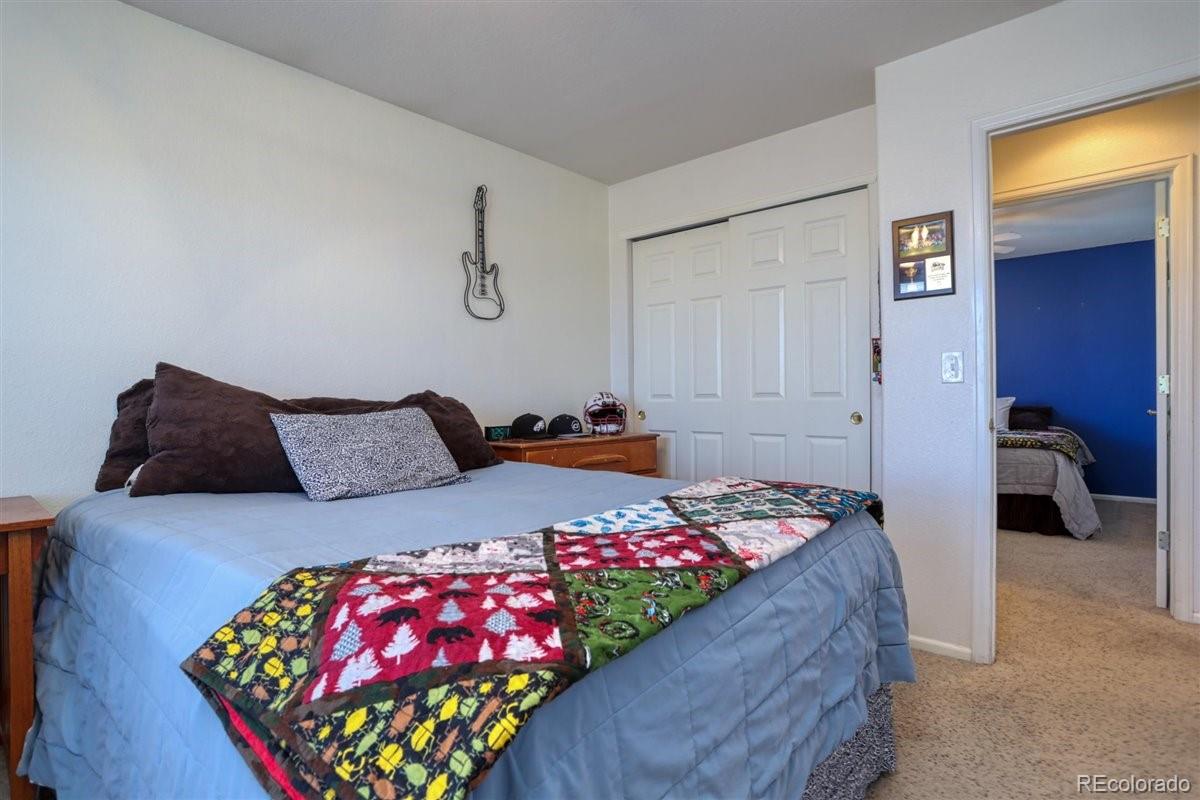 9969 Silver Maple Road Highlands Ranch, CO 80129 - Photo 24 of 40 Gallery Image 24