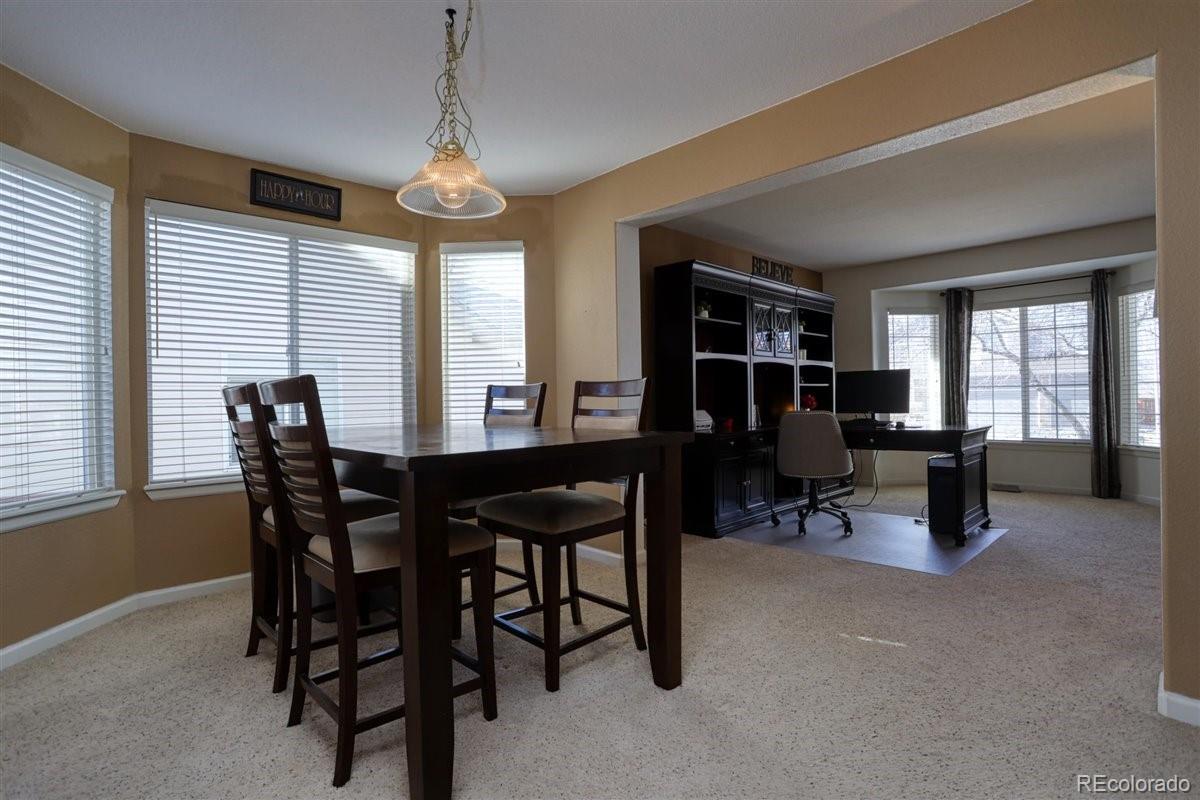 9969 Silver Maple Road Highlands Ranch, CO 80129 - Photo 6 of 40 Gallery Image 6