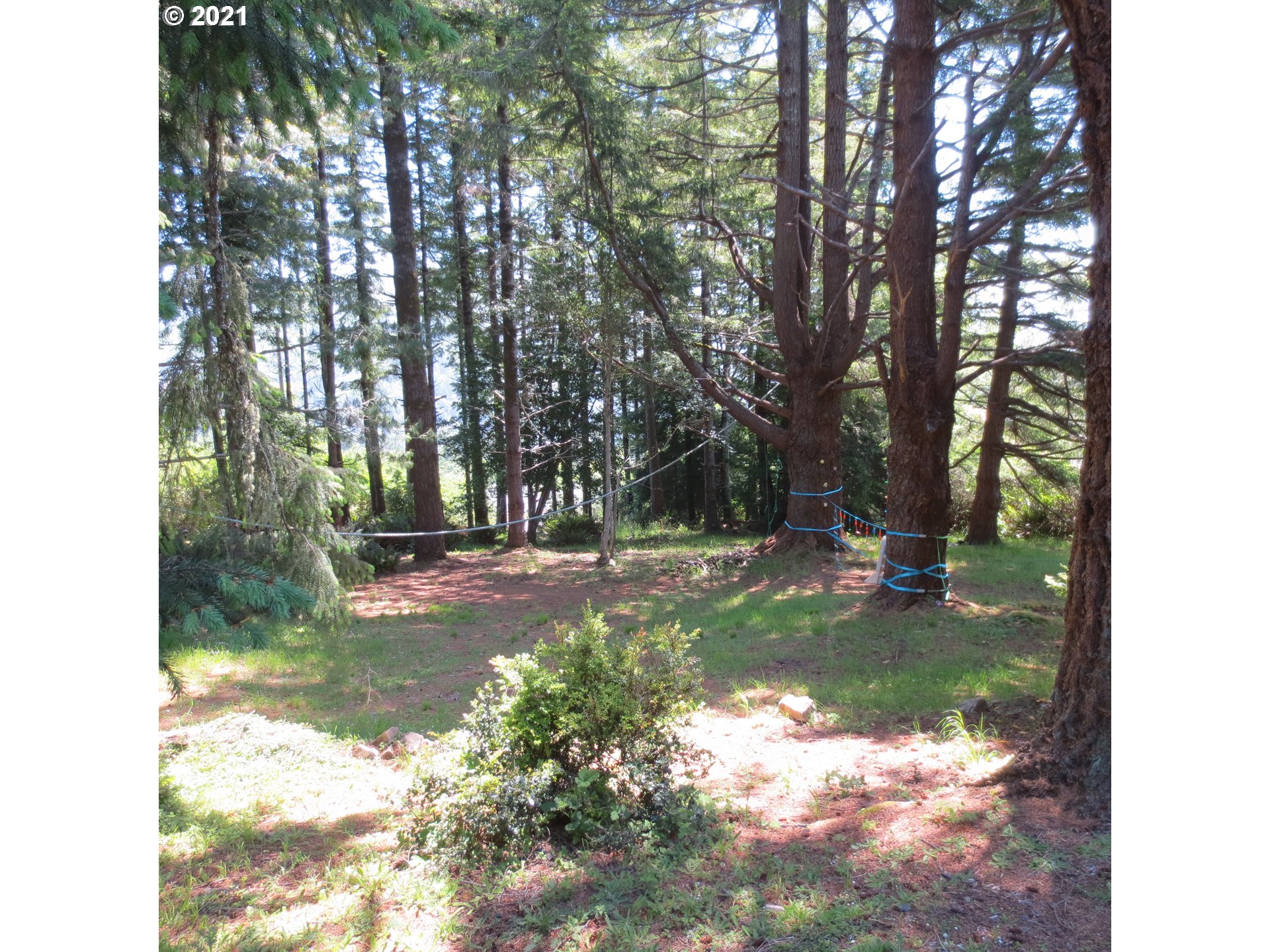 965 Marina Heights Road Brookings, OR 97415 - Photo 13 of 20