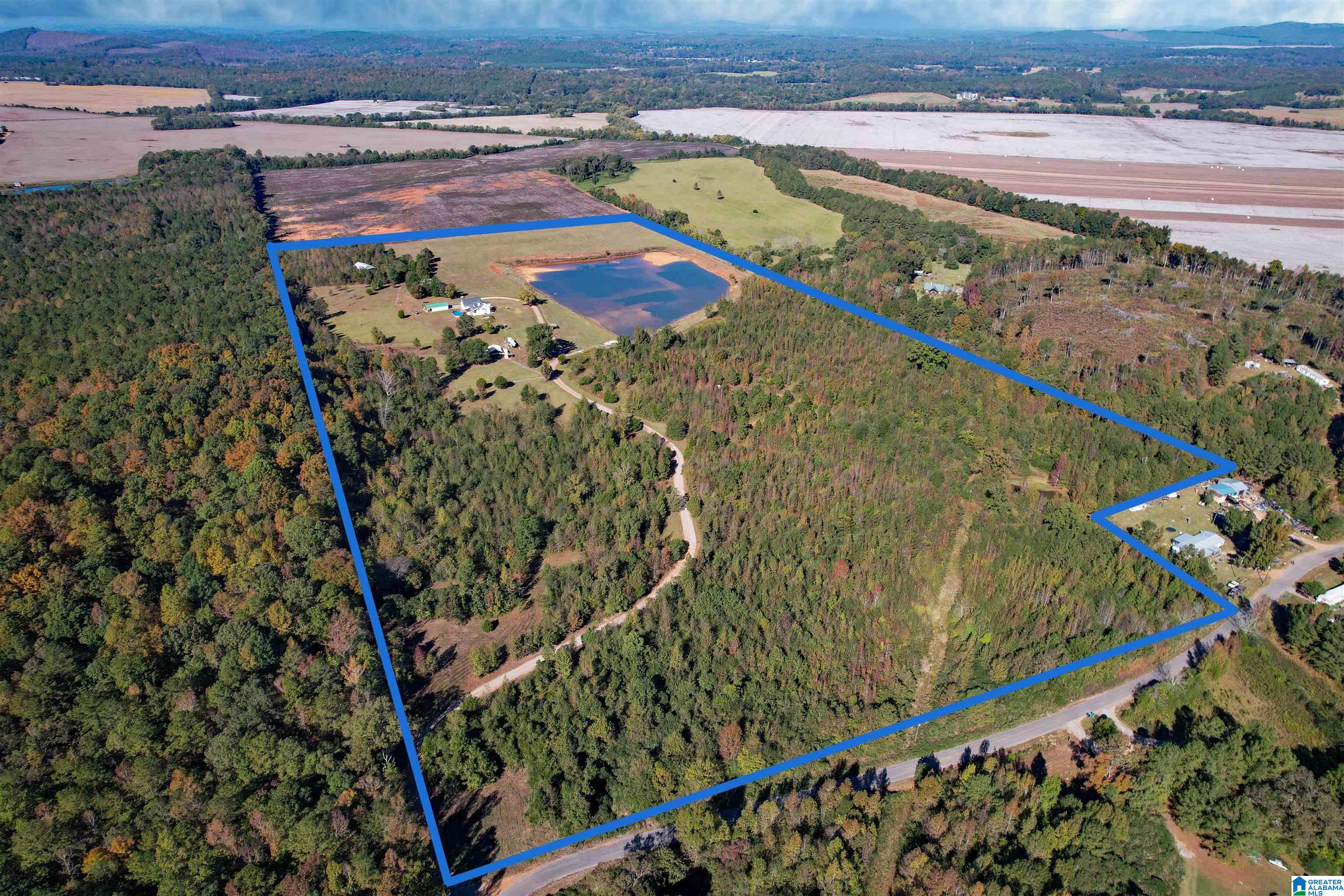 1450 Rendalia Motorway Talladega, AL 35160 - Photo 22 of 64