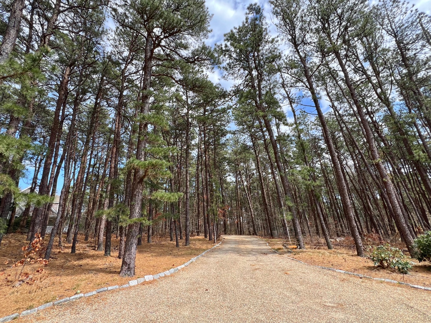 209 Cove Road Vineyard Haven, MA 02568 - Photo 11 of 81