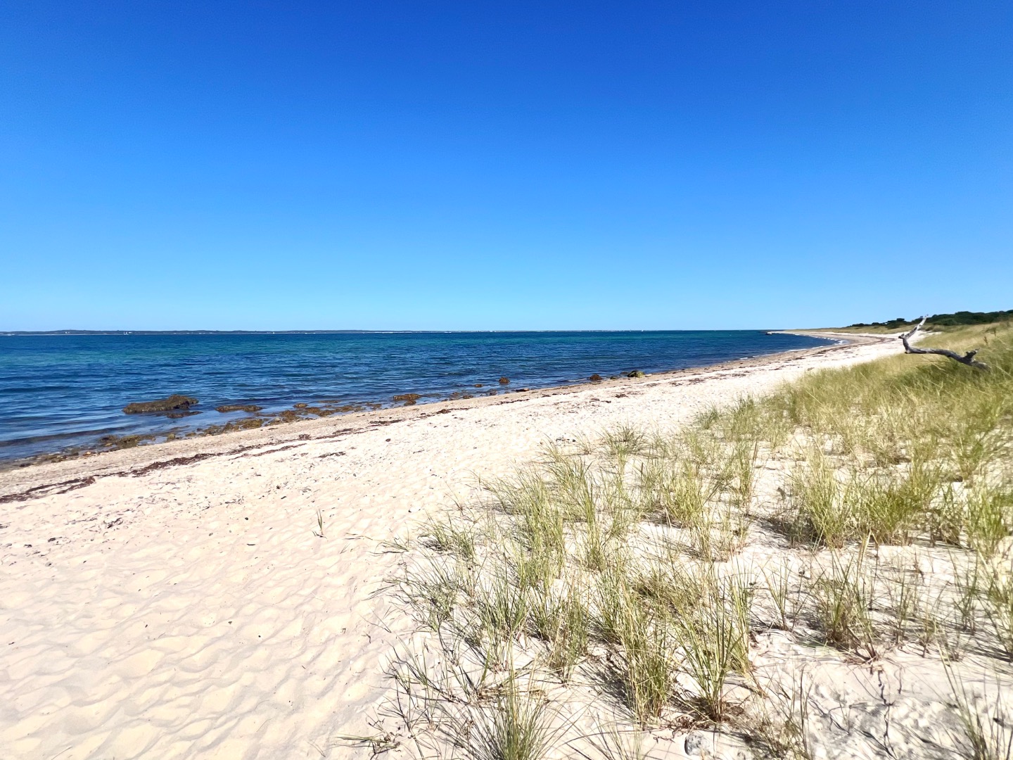 209 Cove Road Vineyard Haven, MA 02568 - Photo 81 of 81