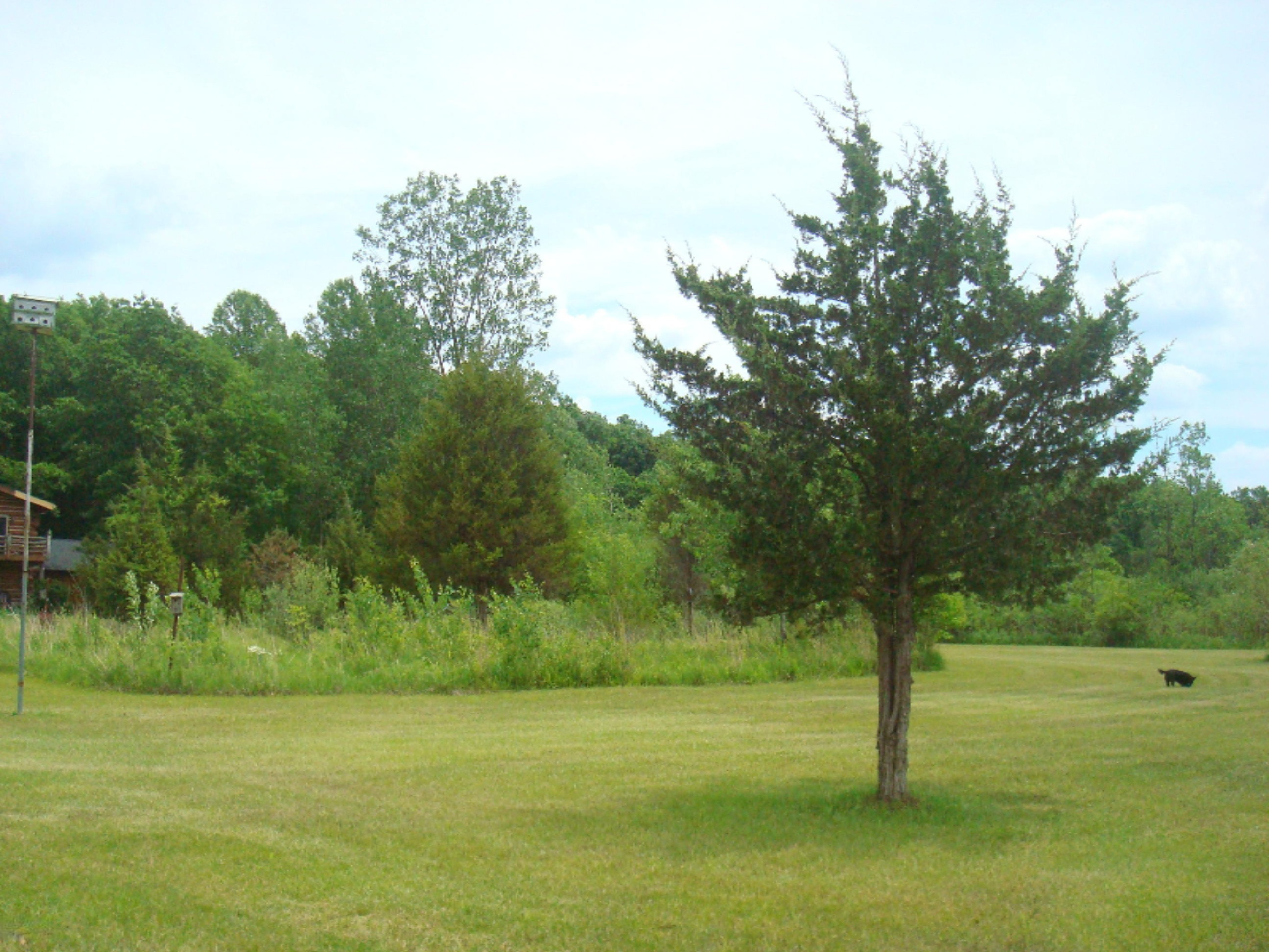 12282 Mead Road Montgomery, MI 49255 - Photo 102 of 142 9119-31 (14)