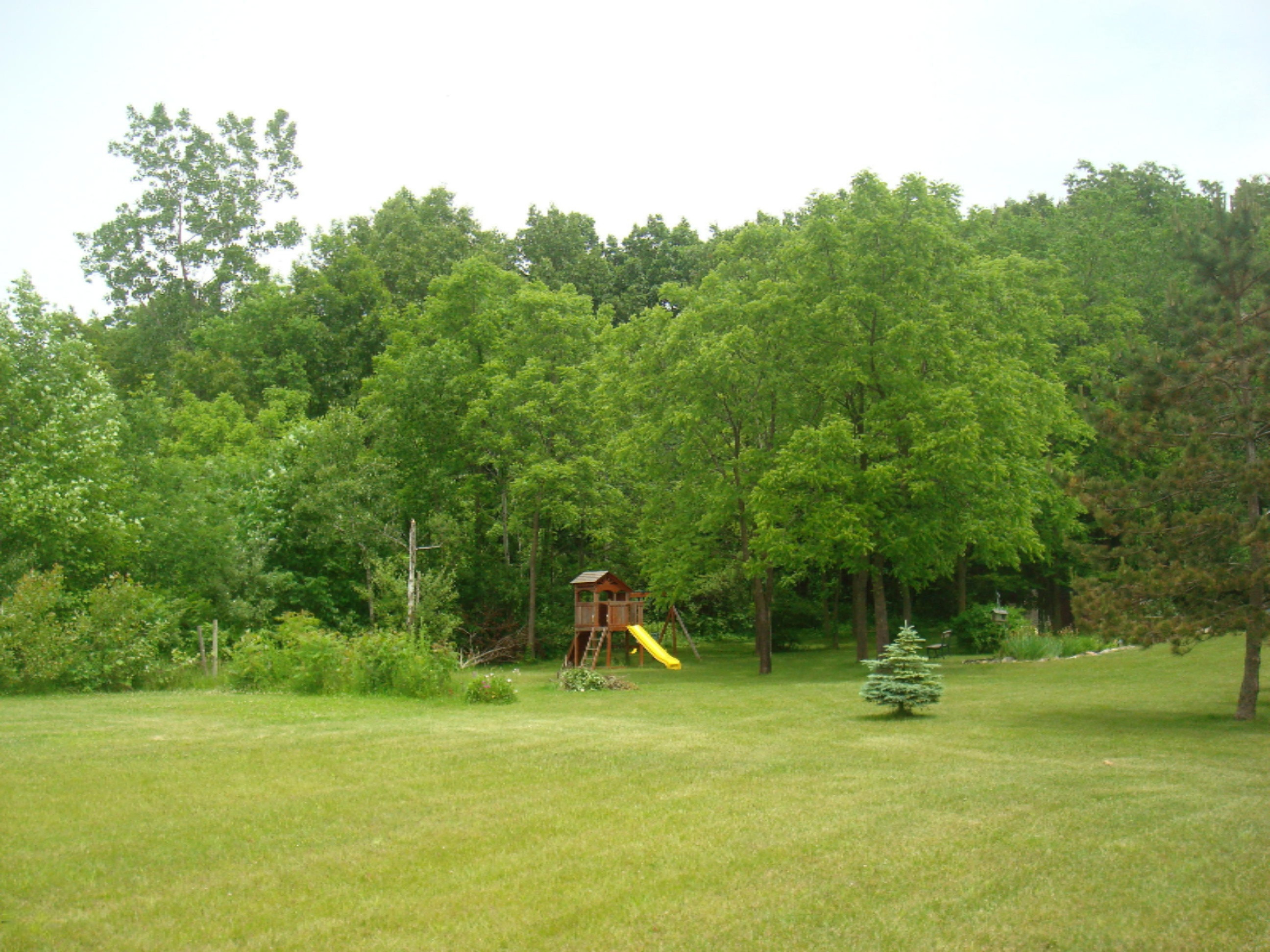 12282 Mead Road Montgomery, MI 49255 - Photo 109 of 142 9119-32 (7)