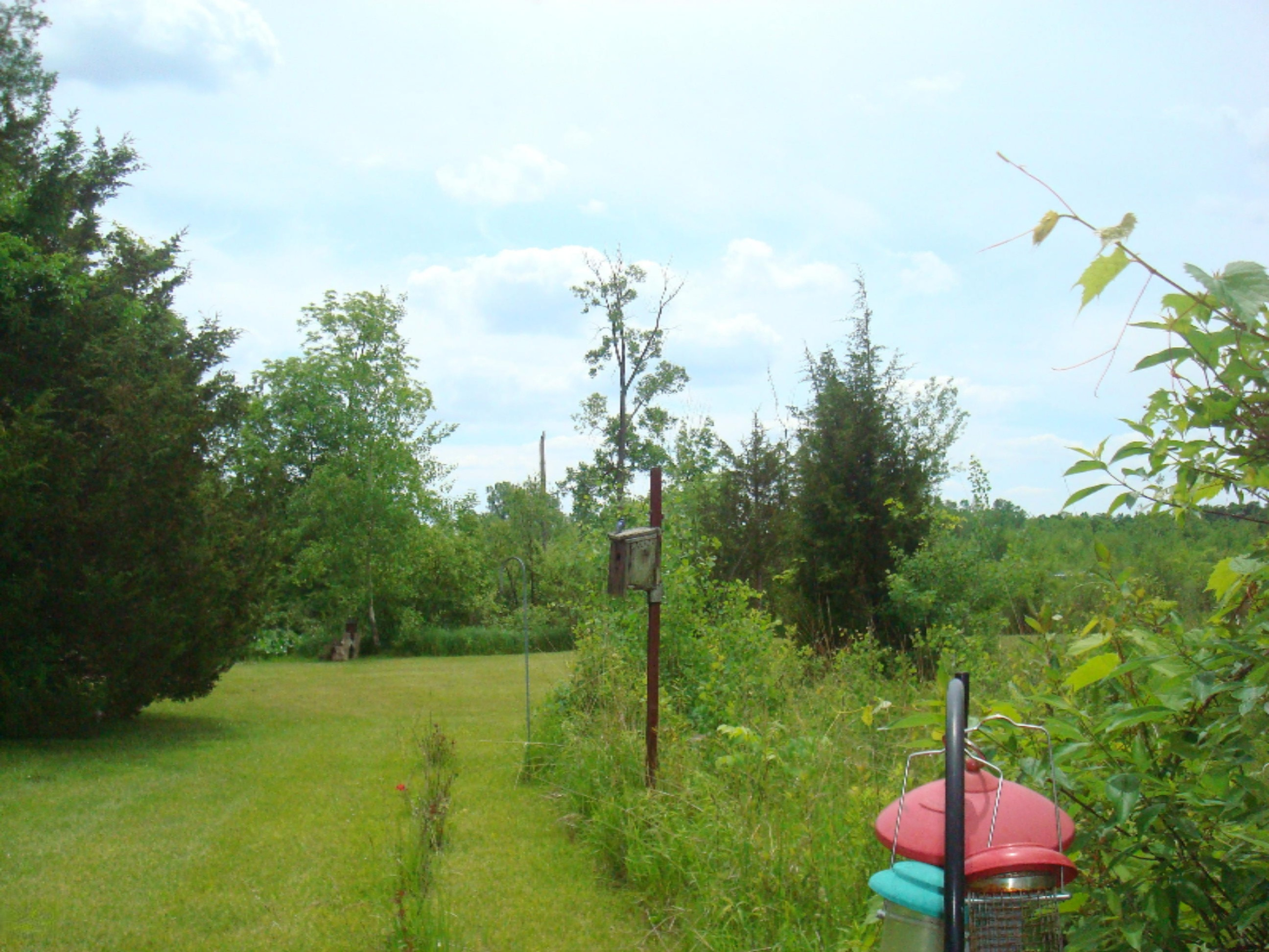 12282 Mead Road Montgomery, MI 49255 - Photo 110 of 142 9119-32 (8)