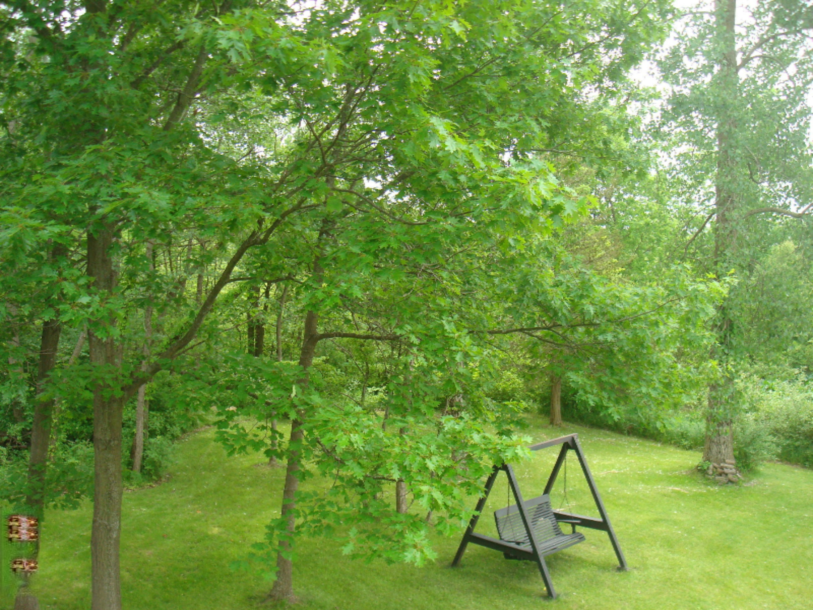 12282 Mead Road Montgomery, MI 49255 - Photo 11 of 142 9119-6 (1)