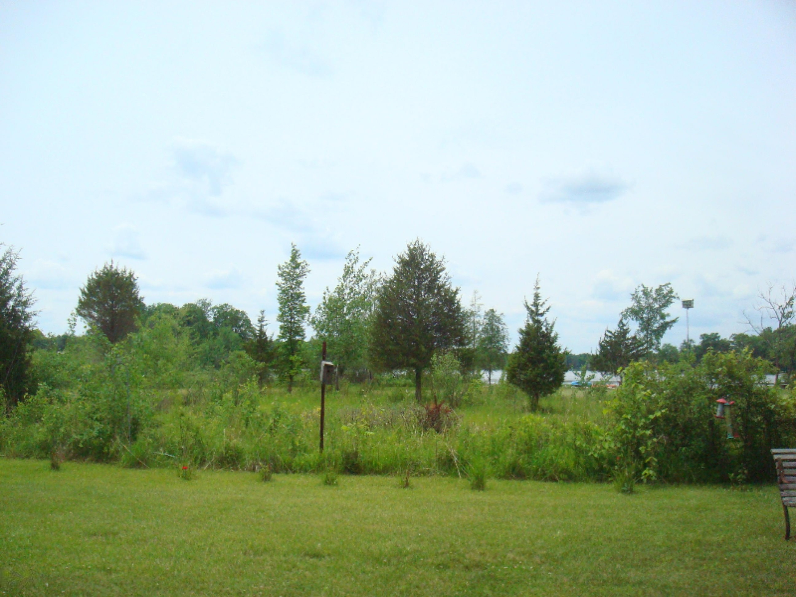 12282 Mead Road Montgomery, MI 49255 - Photo 96 of 142 9119-31 (7)
