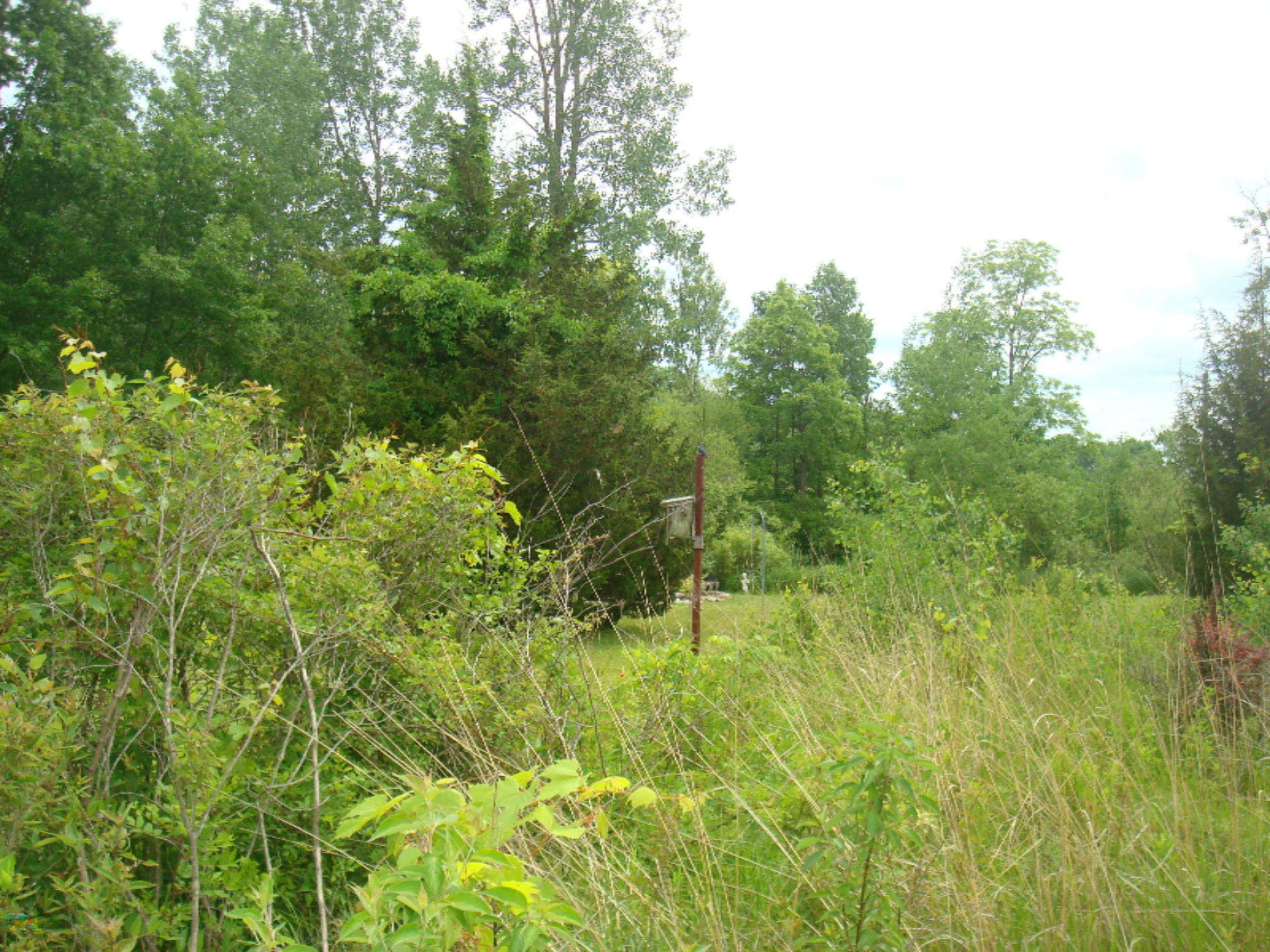 12282 Mead Road Montgomery, MI 49255 - Photo 100 of 142 9119-31 (12)