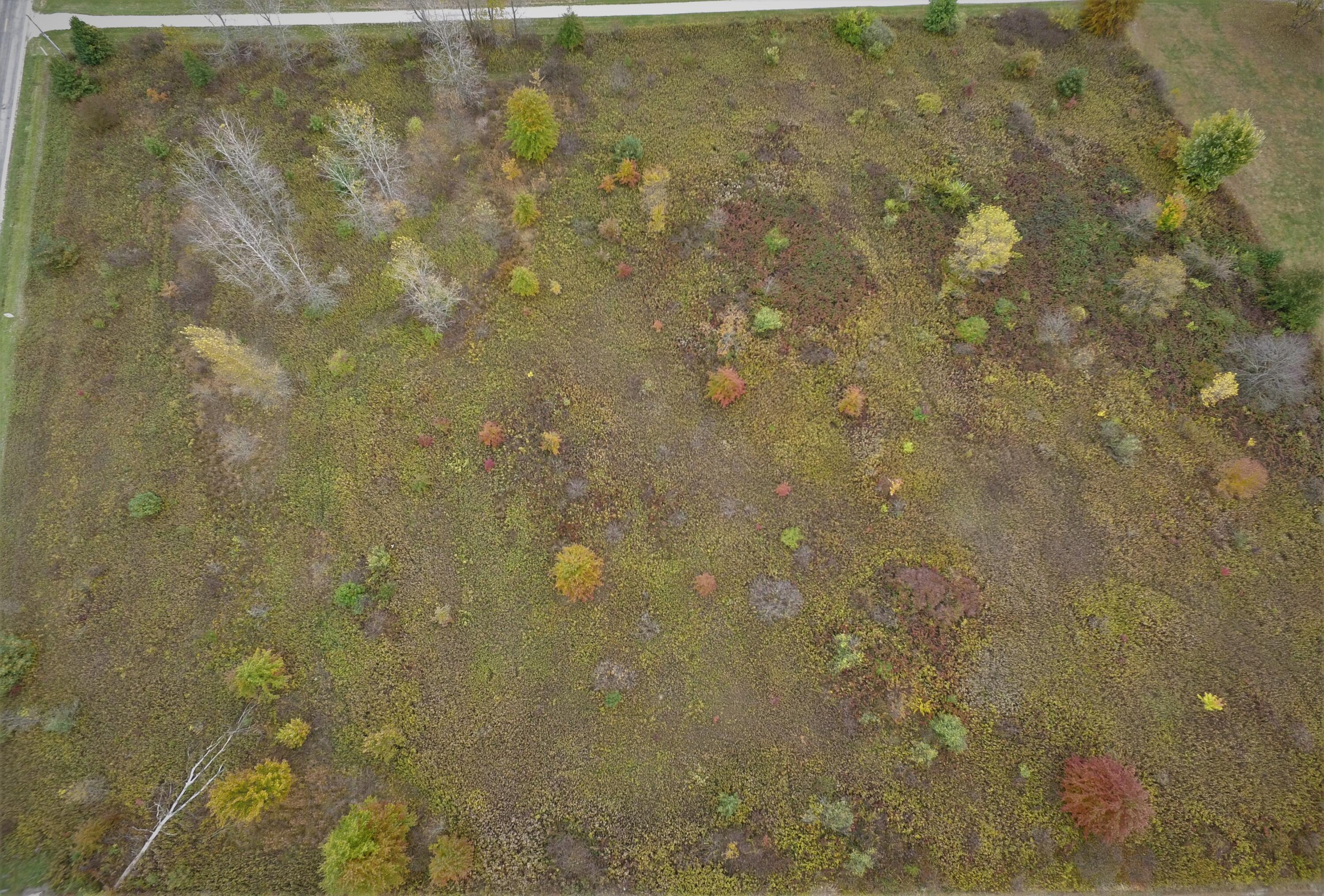 0 Olive Green Road Centerburg, OH 43011 - Photo 6 of 8 DJI_0006 (2)