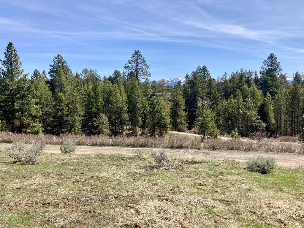 269 Moon Drive, Unit 78 McCall, ID 83638 - Photo 2 of 9 Front of property with shared driveway in front