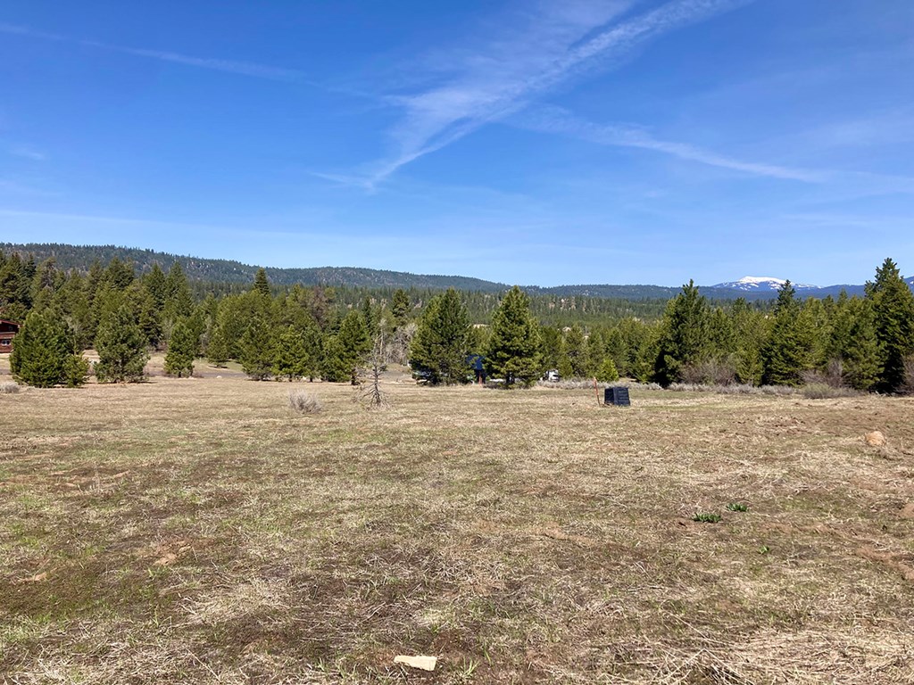 269 Moon Drive, Unit 78 McCall, ID 83638 - Photo 4 of 9 Back yard view