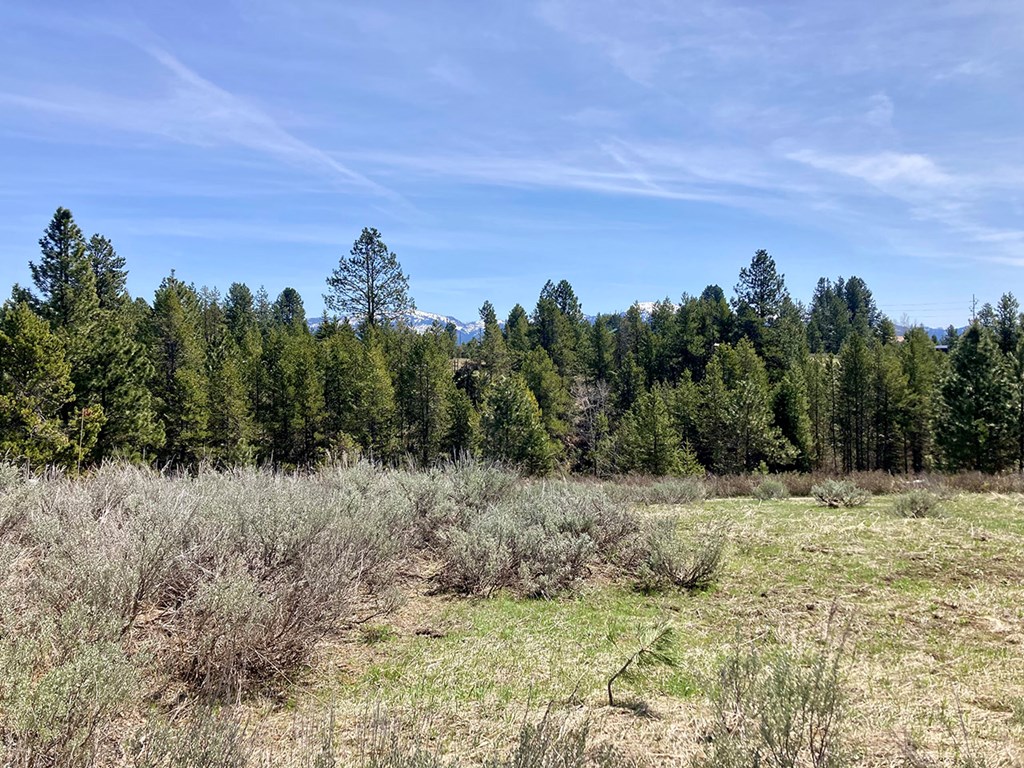 269 Moon Drive, Unit 78 McCall, ID 83638 - Photo 5 of 9 Middle of property