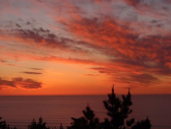 518 A Monterey Road Pacifica, CA 94044 - Photo 4 of 41