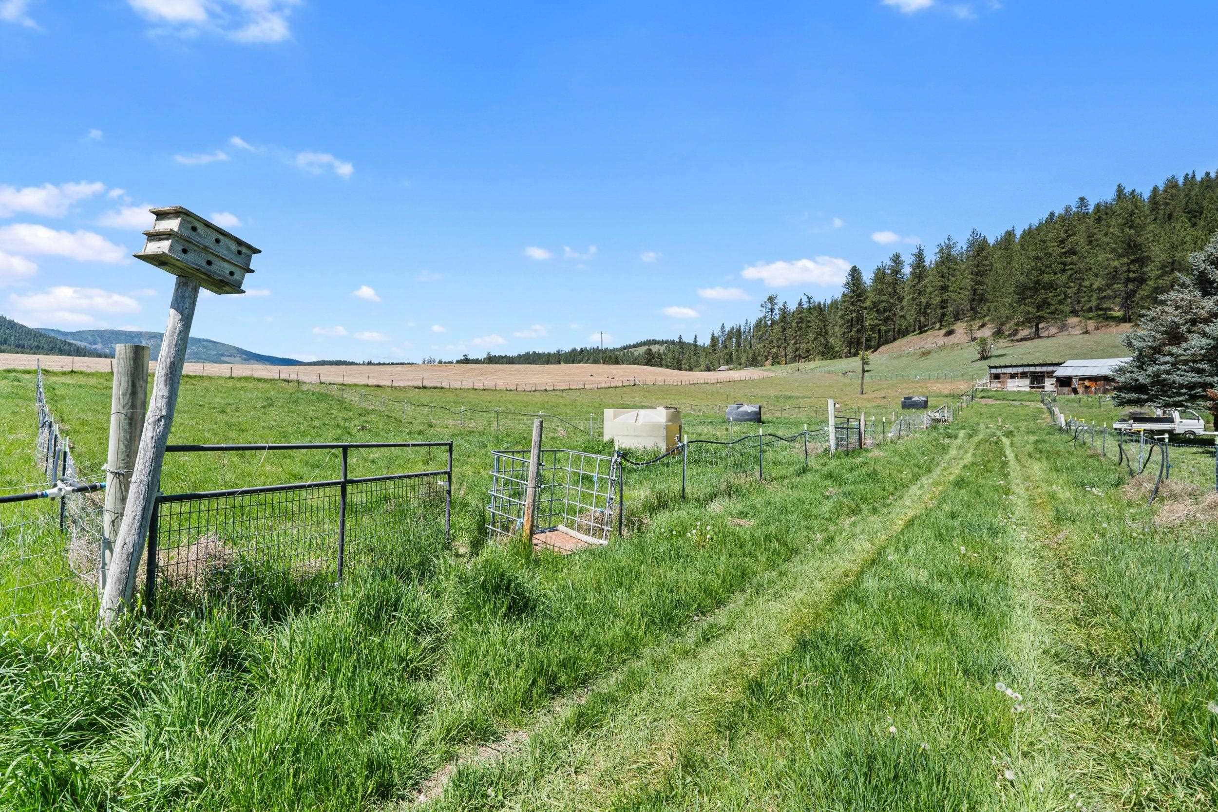 2083 Marble Valley-Basin Road Addy, WA 99101 - Photo 26 of 30