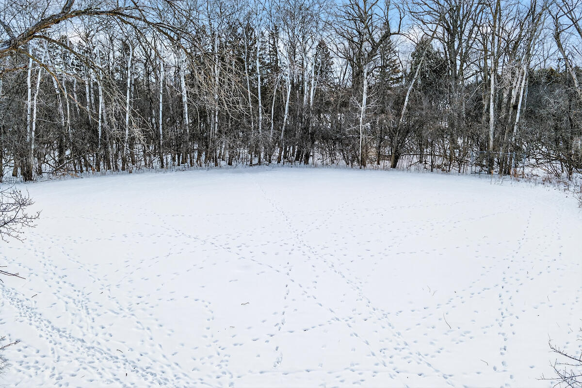 2305 West County Line Road River Hills, WI 53217 - Photo 33 of 41 Open Field with So Many Possibilities!