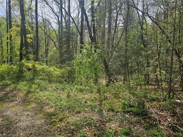$59,900 | 0 Spring Drive, North Wilkesboro, NC 28659