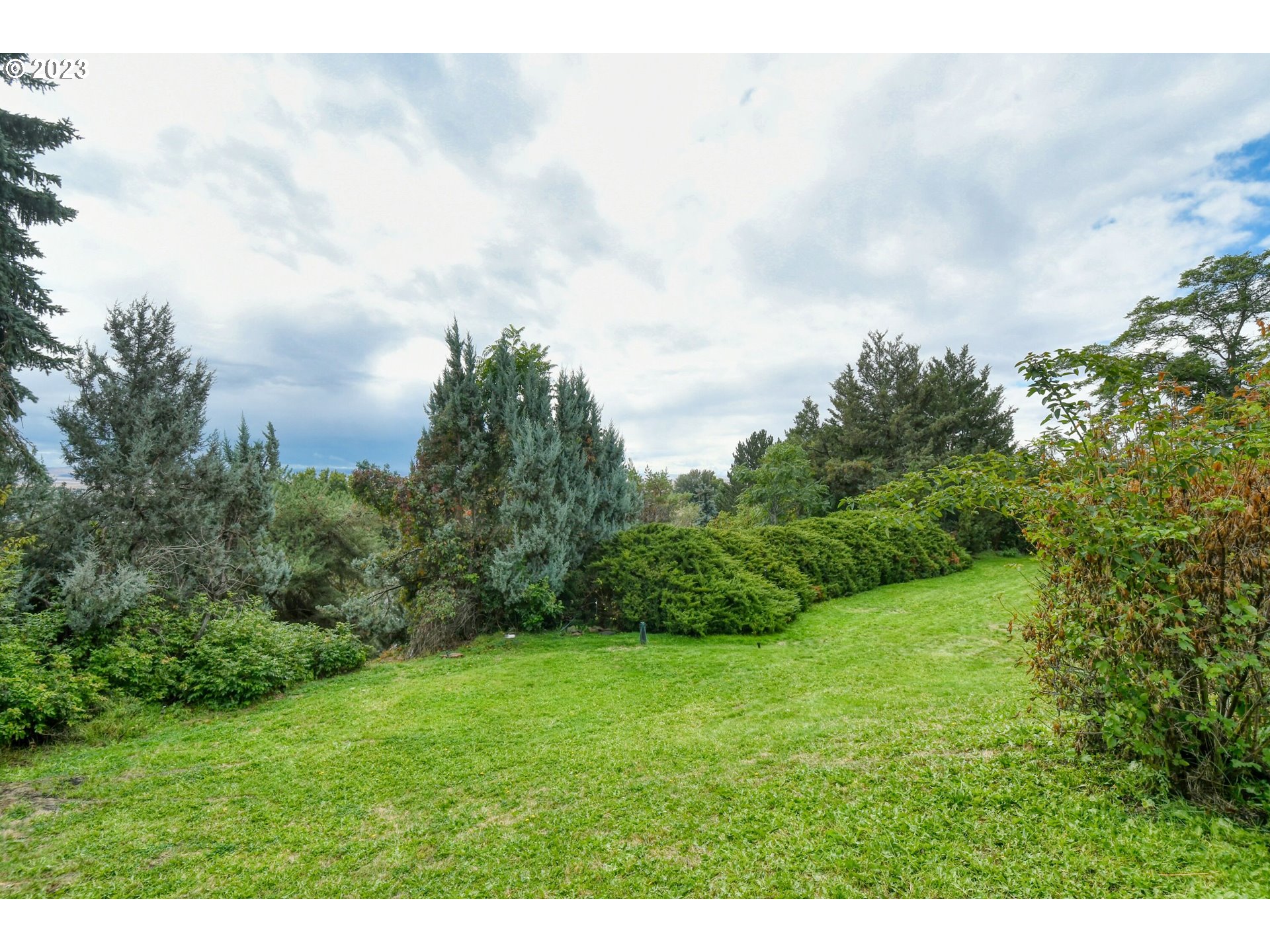 1042 Skyline Drive Pendleton, OR 97801 - Photo 48 of 48 a view of a big yard with plants and a large tree
