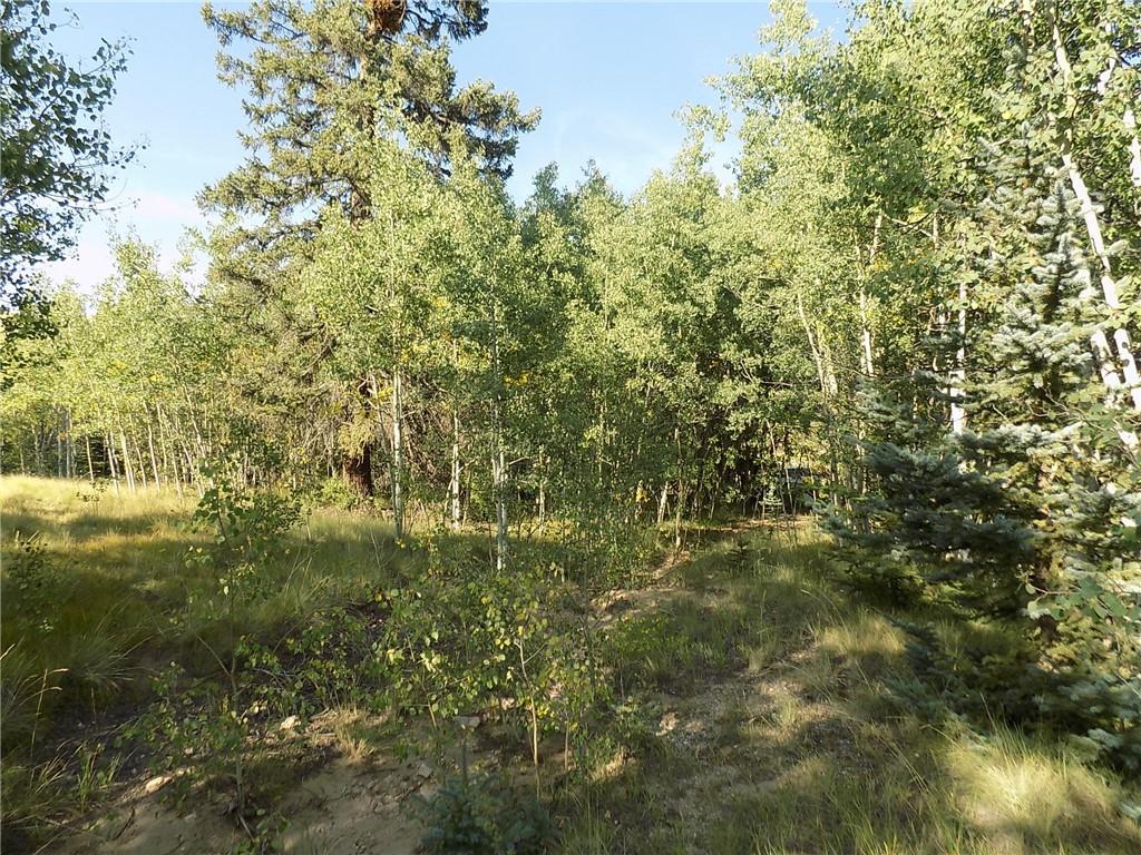 479 Spearpoint Road Como, CO 80432 - Photo 11 of 12 Gallery Image 11