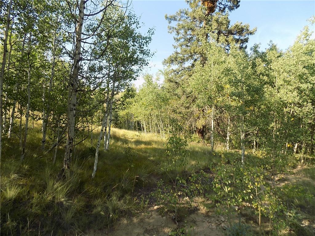 479 Spearpoint Road Como, CO 80432 - Photo 12 of 12 Gallery Image 12