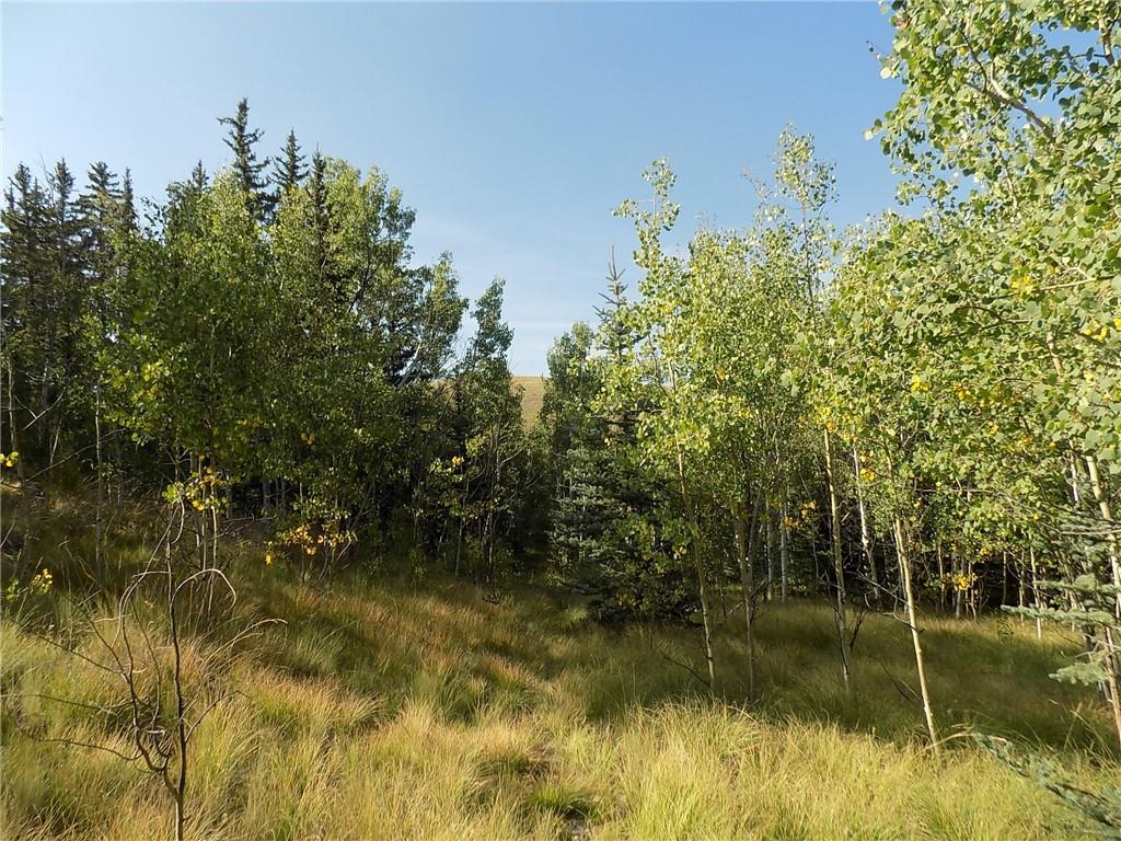 479 Spearpoint Road Como, CO 80432 - Photo 8 of 12 Gallery Image 8