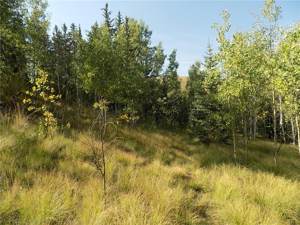 479 Spearpoint Road Como, CO 80432 - Photo 9 of 12 Gallery Image 9