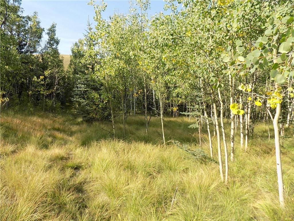 479 Spearpoint Road Como, CO 80432 - Photo 10 of 12 Gallery Image 10