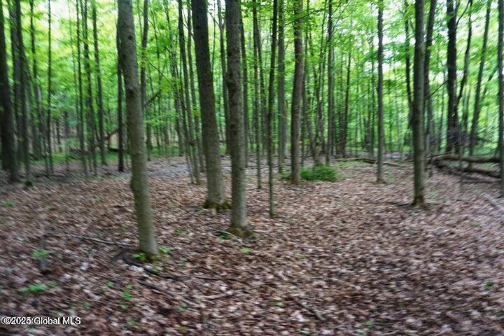 L26 West Fulton Road Warnerville, NY 12187 - Photo 7 of 15 W Fulton pic 13