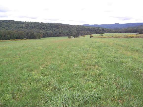 0 Lynch Road Owego, NY 13827 - Photo 1 of 4