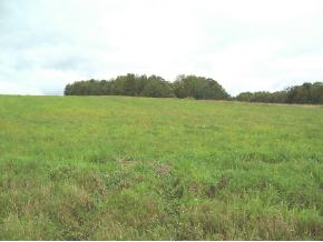 0 Lynch Road Owego, NY 13827 - Photo 3 of 4