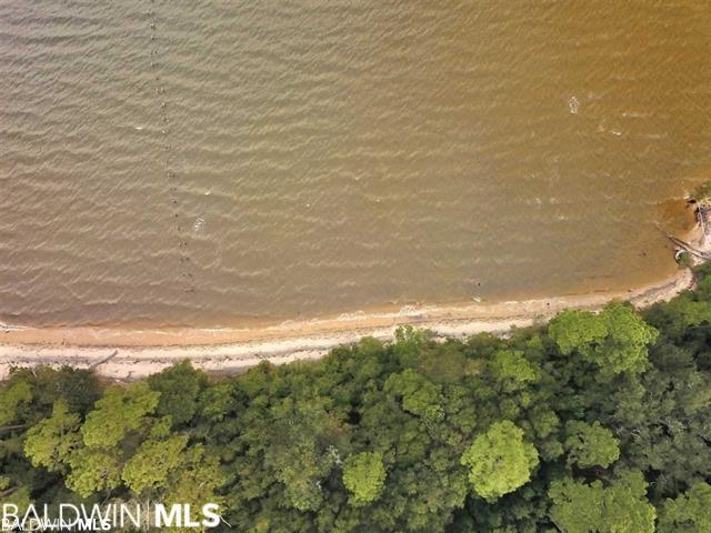 10346 County Road 99 Lillian, AL 36549 - Photo 11 of 11