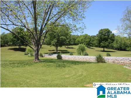 872 Lock 4 Road Riverside, AL 35135 - Photo 5 of 8