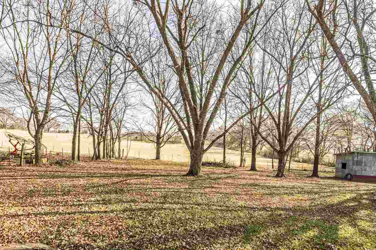 670 Solo Road Covington, TN 38019 - Photo 5 of 22 Gallery Image 5