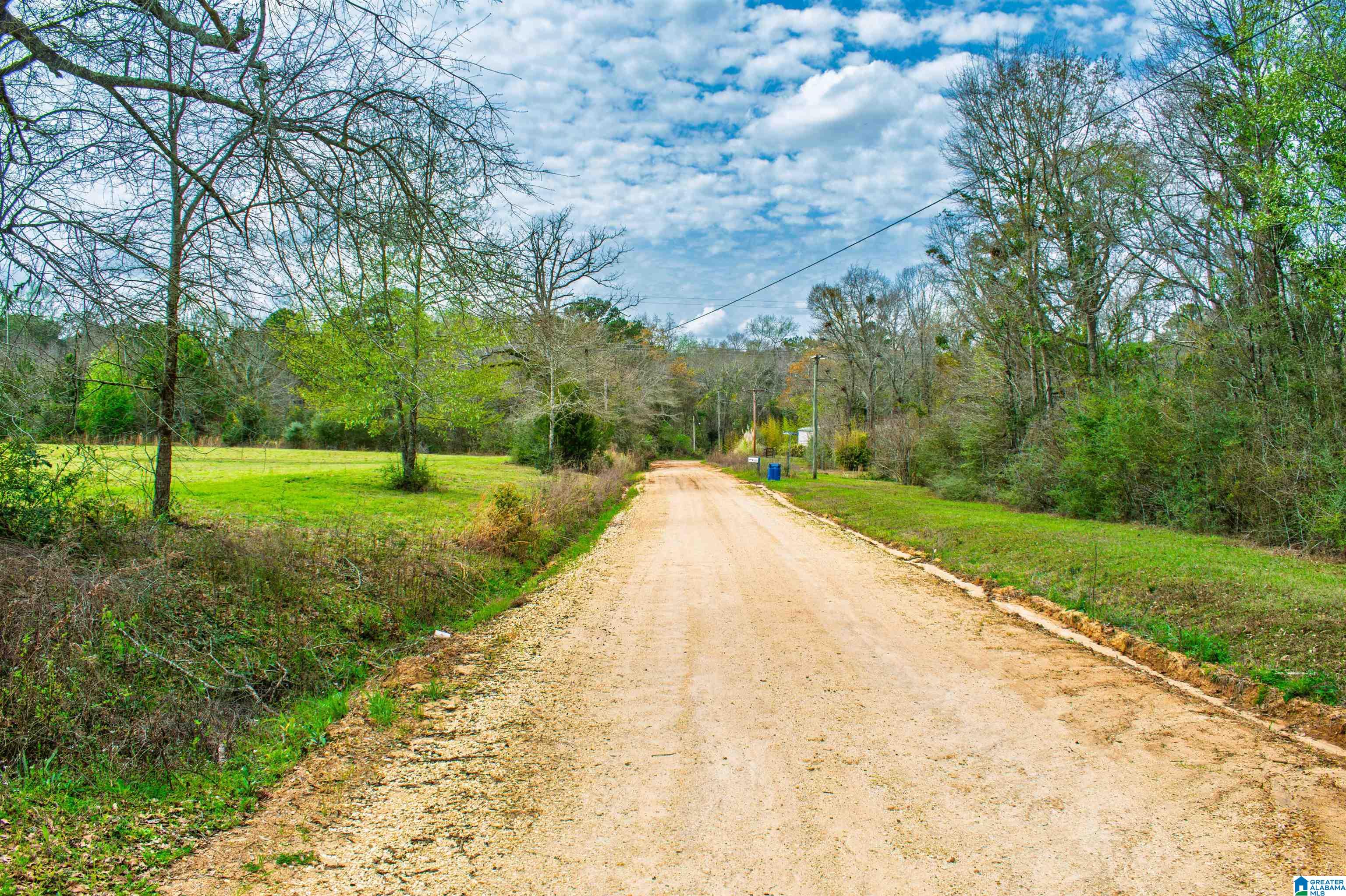 27180 Deer Run Road Opp, AL 36467 - Photo 41 of 60