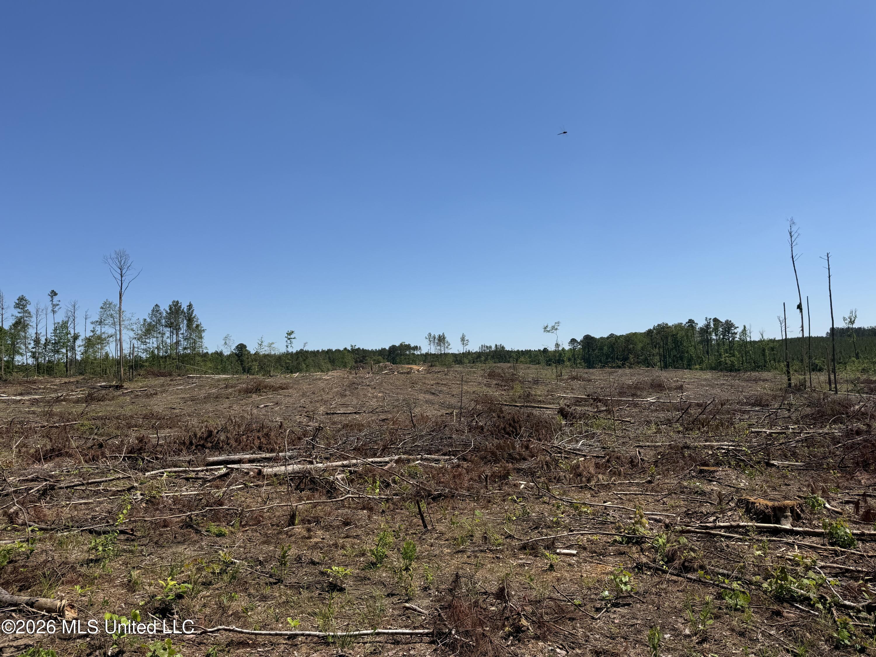 Couparle Road Camden, MS 39045 - Photo 27 of 47 Photo May 12 2026, 2 27 16 PM