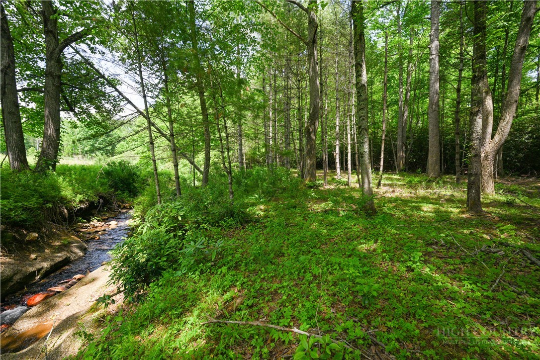 Lot 2 Gusher Knob Road Newland, NC 28657 - Photo 14 of 17