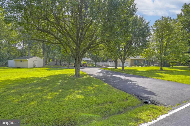 a view of a swimming pool with a garden and trees