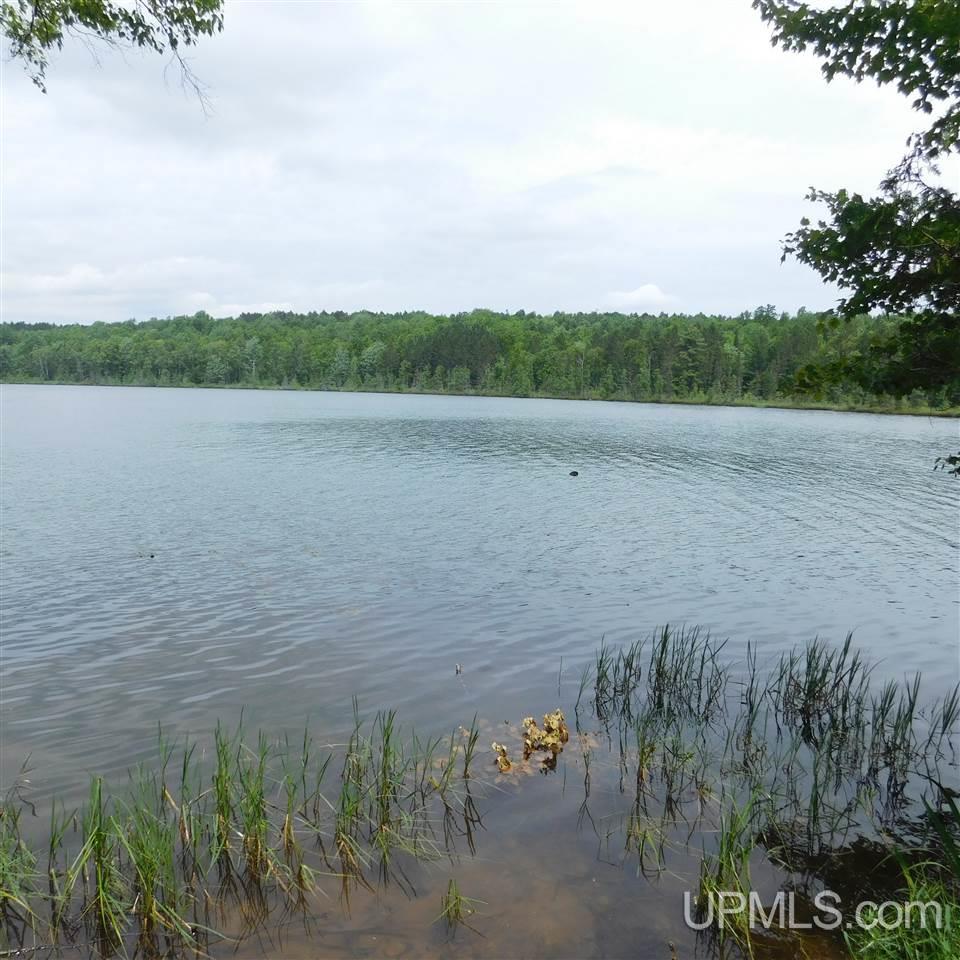 Tbd Reisner Lake Road, Unit 4 5 & 6 Long Lake, WI 54542 - Photo 1 of 9