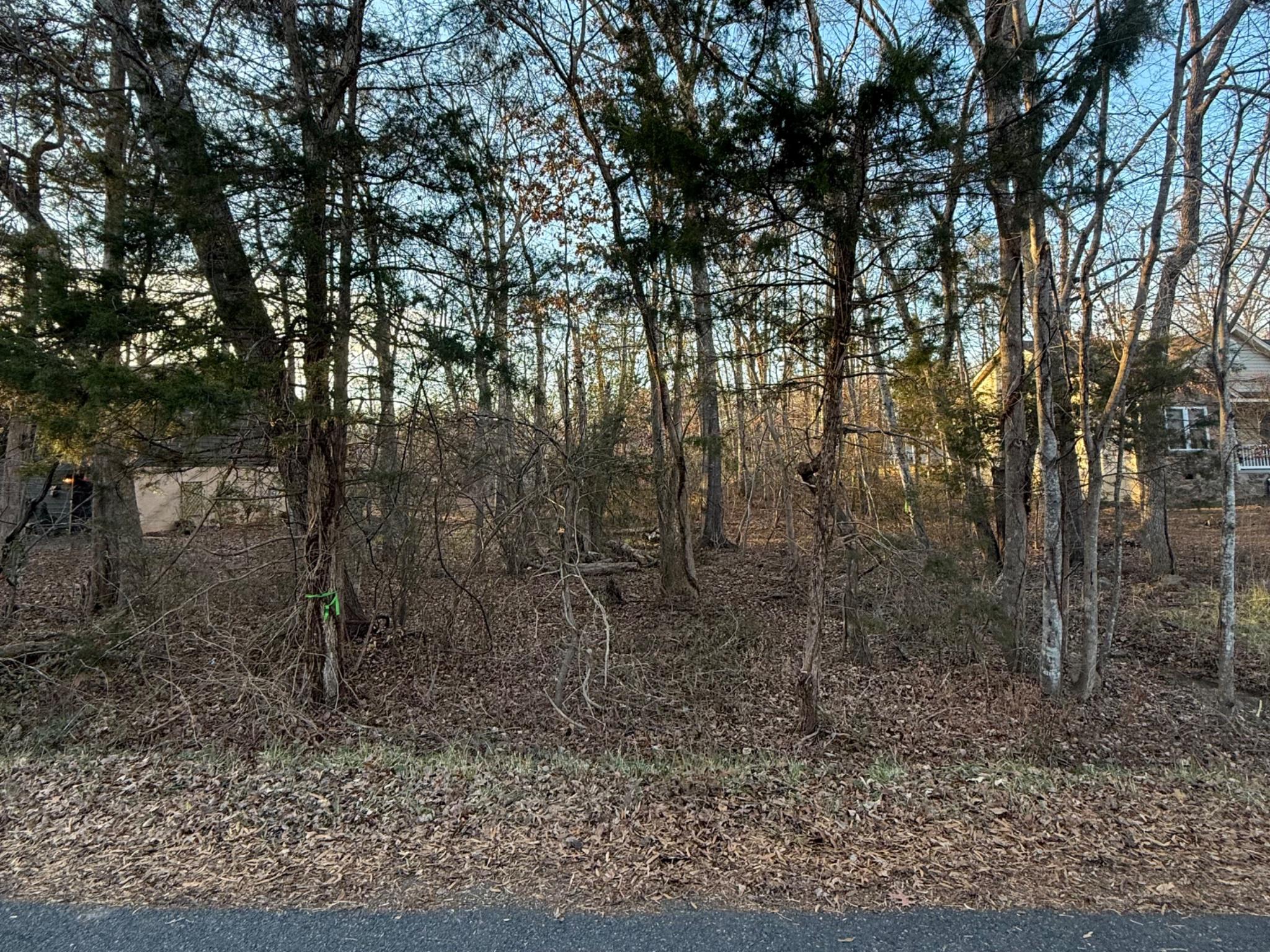 119 Republic Avenue Locust Grove, VA 22508 - Photo 3 of 16 Serene wooded lot awaits your vision.
