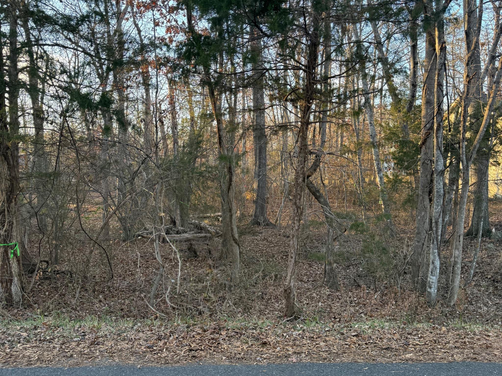 119 Republic Avenue Locust Grove, VA 22508 - Photo 4 of 16 Lake of the Woods awaits your vision!