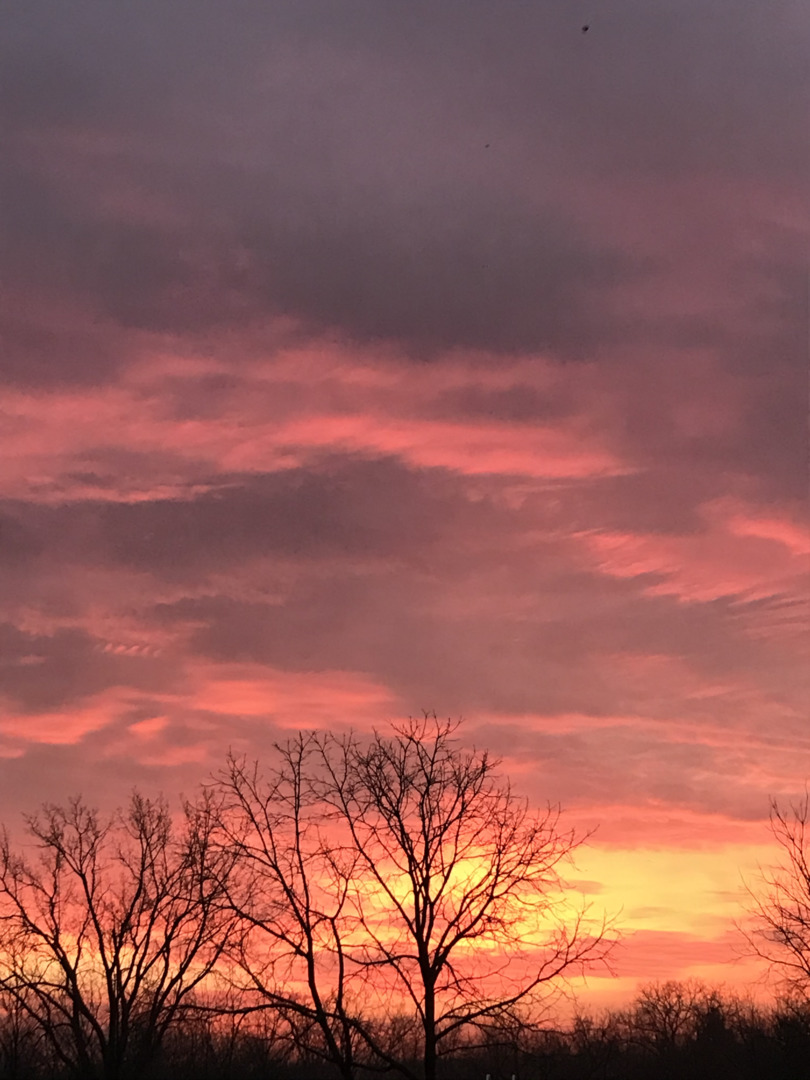 14385 Fennel Road Newark, IL 60541 - Photo 17 of 19 a view of sunset