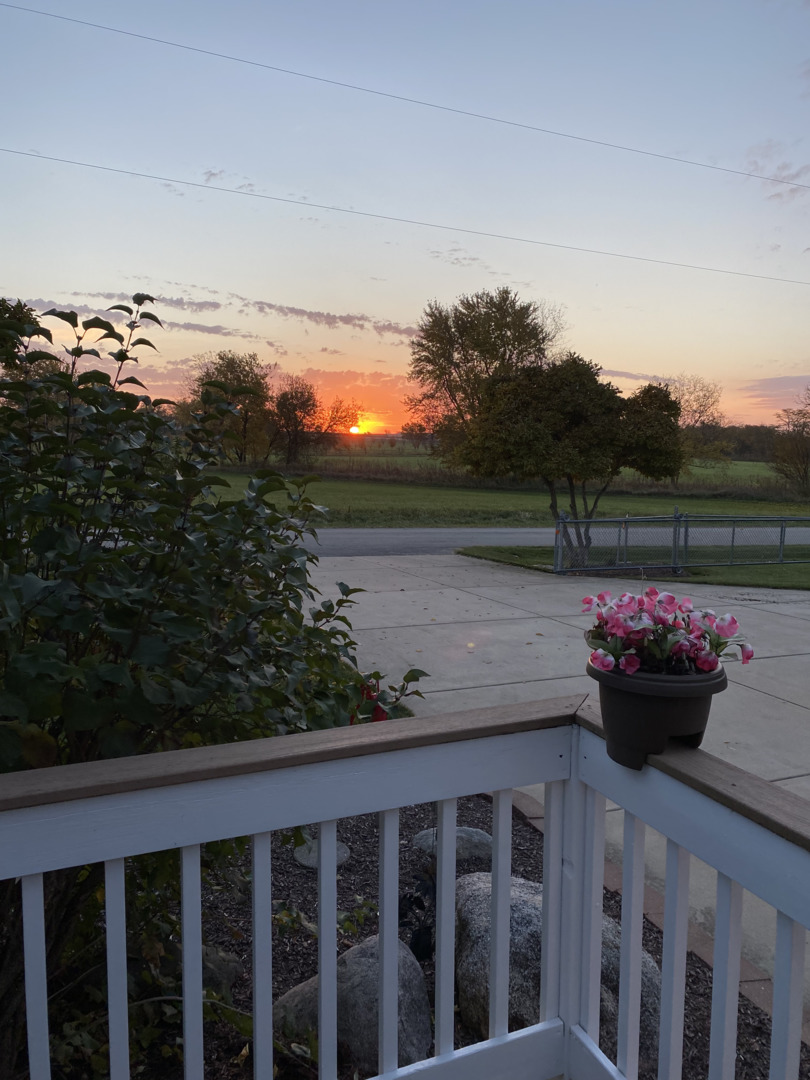 14385 Fennel Road Newark, IL 60541 - Photo 19 of 19 a view of a street from a balcony