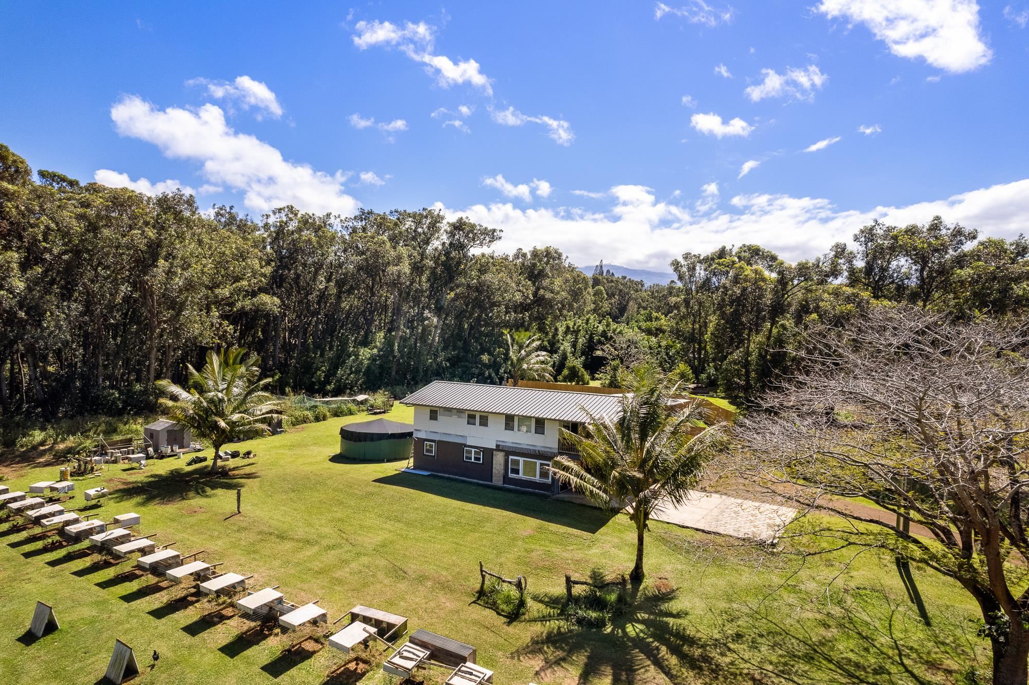 685 Upper Ulumalu Road Haiku, HI 96708 - Photo 26 of 34 a view of a swimming pool with lawn chairs under an umbrella