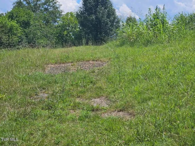 $252,600 | Tbd Old Stage Road, Limestone, TN 37681