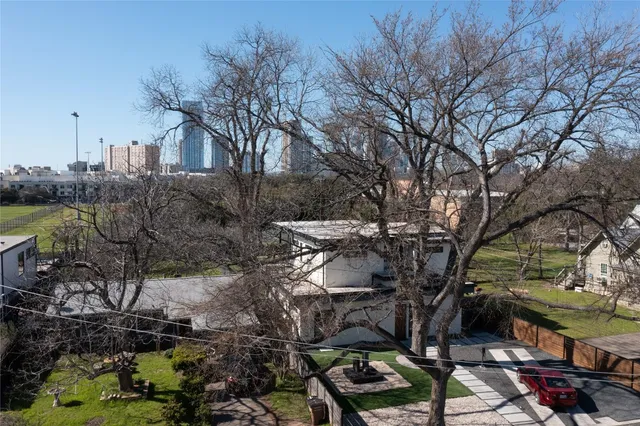 a view of a yard with plants and large trees