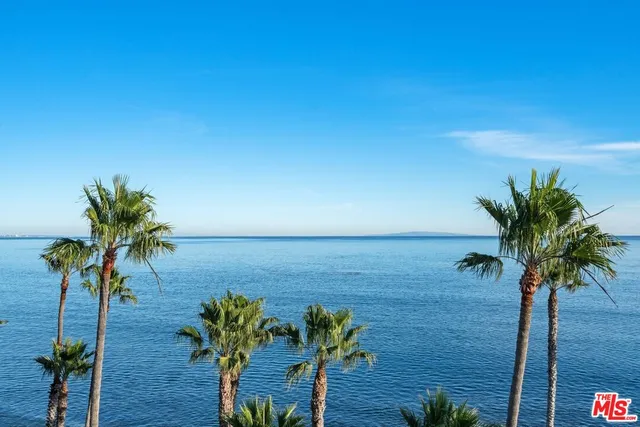 a view of a terrace with a garden