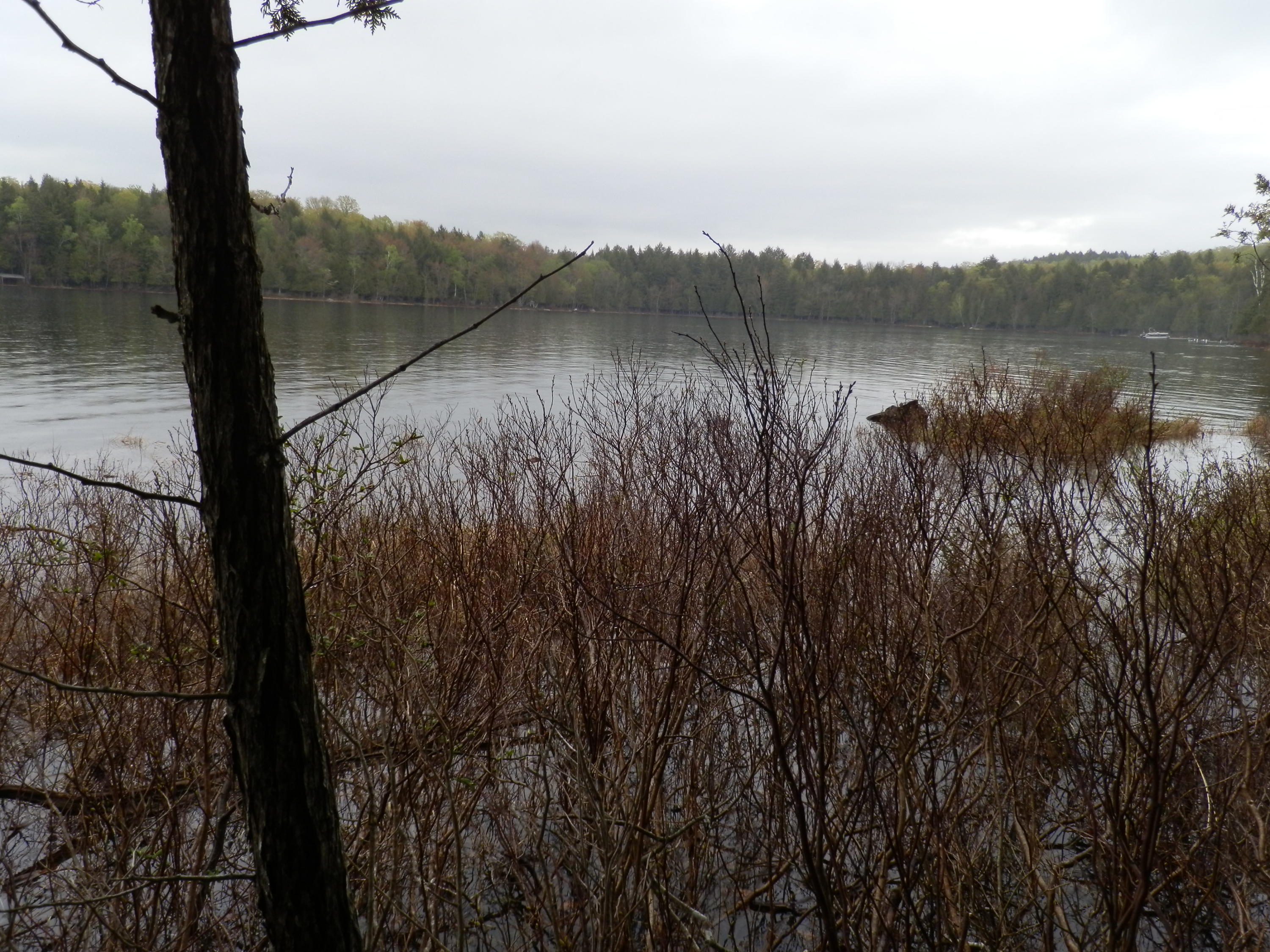 0 Citron Hill Road Sebec, ME 04481 - Photo 28 of 30 P1011761