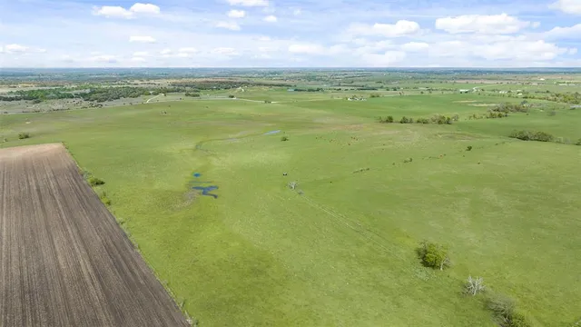 a backyard of a house with lots of green space and plants
